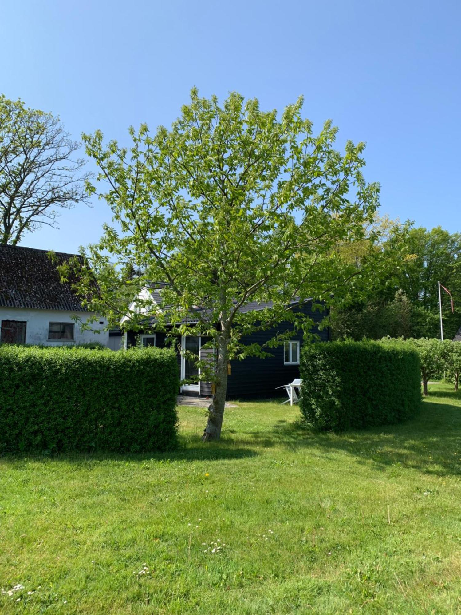 Tusindfrugt B&B Store Heddinge Экстерьер фото